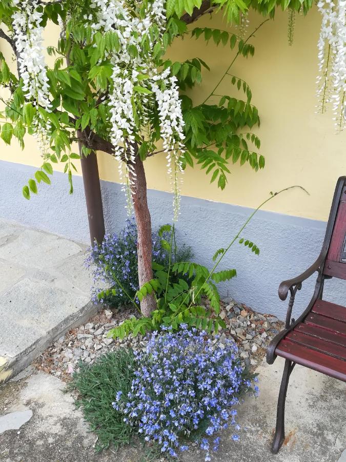알바 La Casa Dei Masue' 게스트하우스 외부 사진