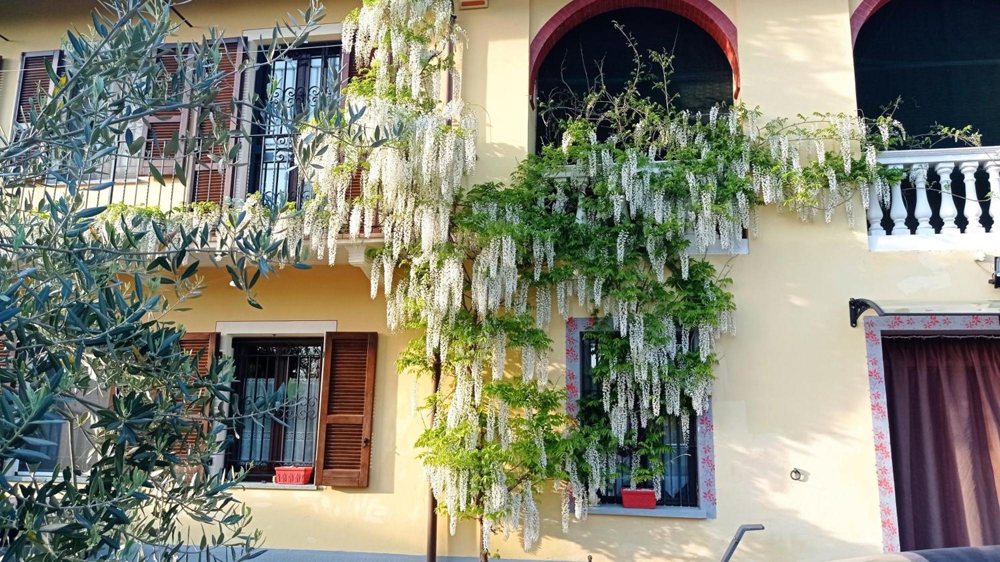 알바 La Casa Dei Masue' 게스트하우스 외부 사진